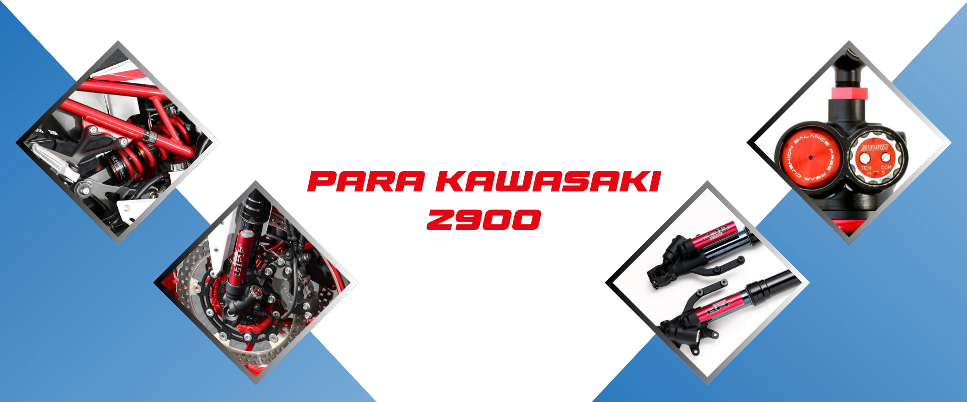 kawasaki suspension