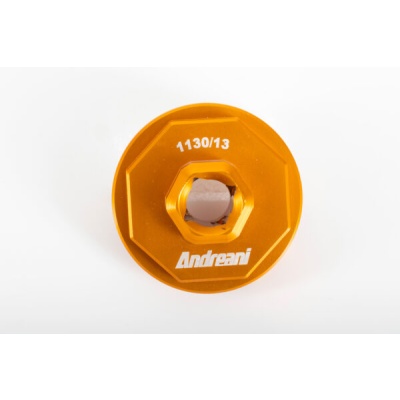 Andreani Kayaba Air 2013 Fork Cap