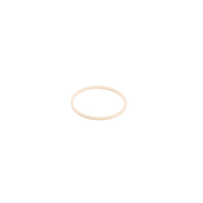 Back Up Ring B
