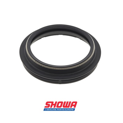 Dust Seal 48x58.6x10 (with spring)