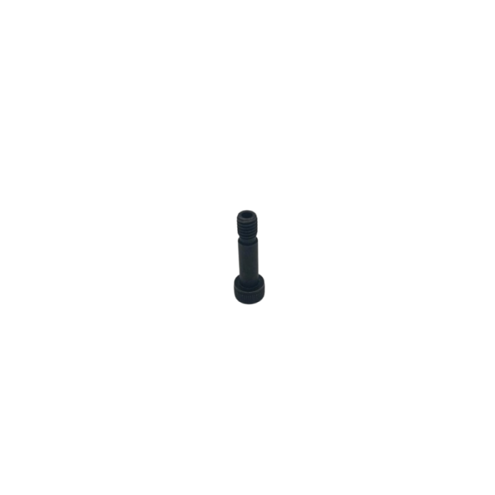 Hex Hole Bolt