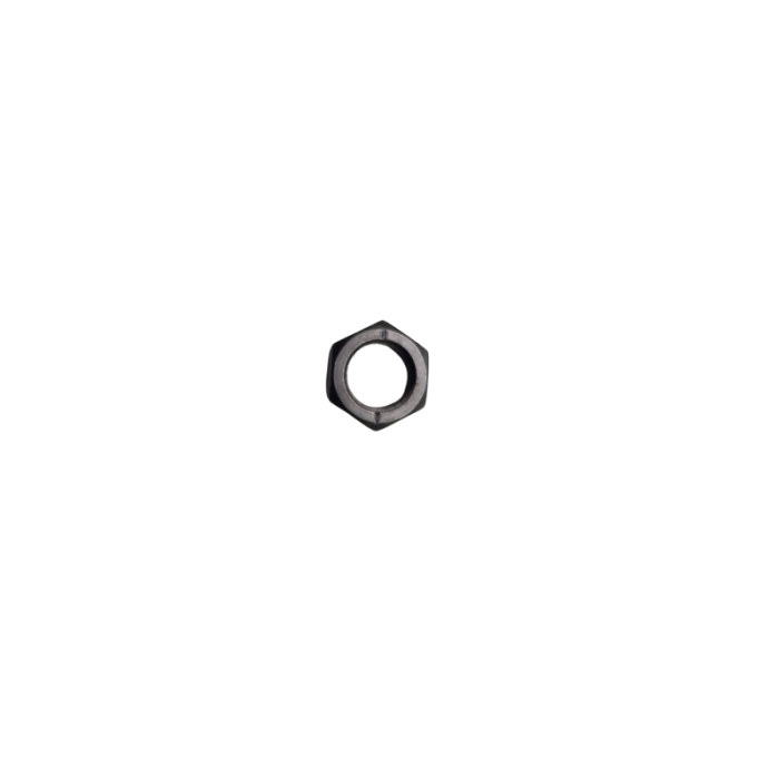 Hex Nut
