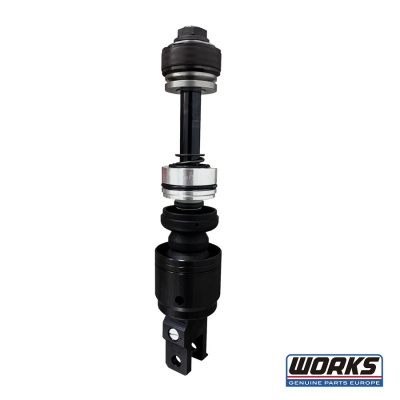 WORKS Piston rod comp. 18mm Black DLC / KXF 450 17-23
